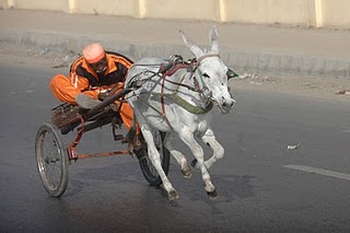 donkey cart top